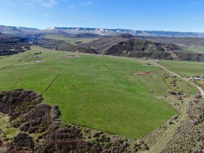 Colorado cattle ranch with grazing permits for sale - image 42