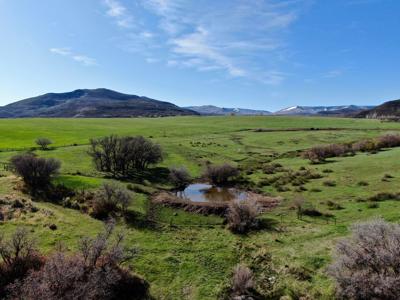 Colorado cattle ranch with grazing permits for sale - image 46