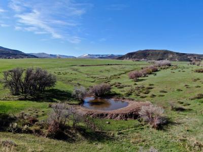 Colorado cattle ranch with grazing permits for sale - image 44