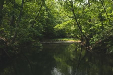 Aquatic Base on Claytor Lake for Sale in Radford Virginia - image 50