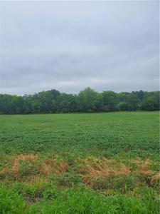 Farm Land Gower, MO - image 2