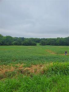 Farm Land Gower, MO - image 3