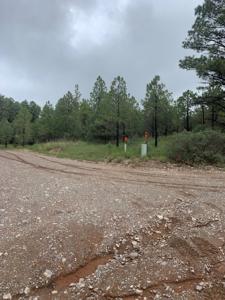 Corner Lot Near Golf Course In Timberon New Mexico For Sale - image 4