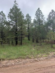 Corner Lot Near Golf Course In Timberon New Mexico For Sale - image 1