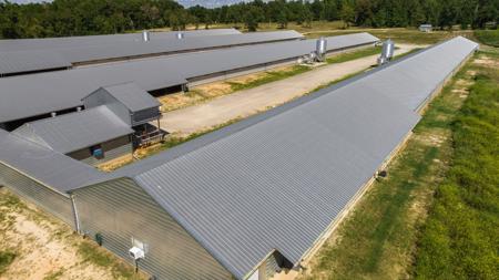 East TX Poultry Breeder Farm & Country Home in Winona Texas - image 4