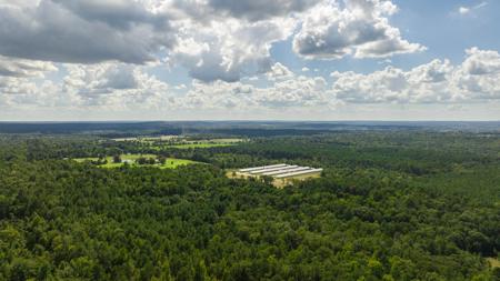 East TX Poultry Breeder Farm & Country Home in Winona Texas - image 41