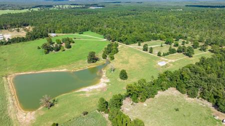 East TX Poultry Breeder Farm & Country Home in Winona Texas - image 38