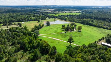 East TX Poultry Breeder Farm & Country Home in Winona Texas - image 37