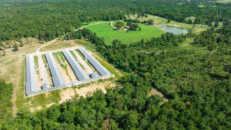 East TX Poultry Breeder Farm & Country Home in Winona Texas - image 12