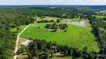 East TX Poultry Breeder Farm & Country Home in Winona Texas - image 13