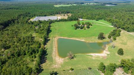 East TX Poultry Breeder Farm & Country Home in Winona Texas - image 39