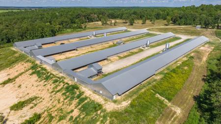 East TX Poultry Breeder Farm & Country Home in Winona Texas - image 11