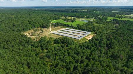 East TX Poultry Breeder Farm & Country Home in Winona Texas - image 2