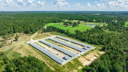 East TX Poultry Breeder Farm & Country Home in Winona Texas - image 3