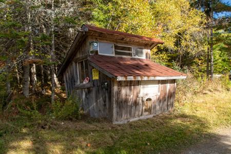 Maine Off-grid Country Home - image 10