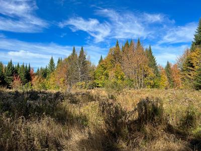 Maine Off-grid Country Home - image 47