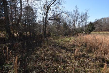 Tennessee Land For Sale! - image 6