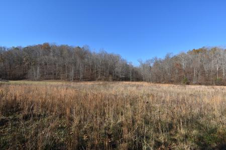 Tennessee Land For Sale! - image 7