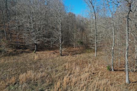 Tennessee Land For Sale! - image 8