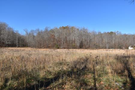 Tennessee Land For Sale! - image 2