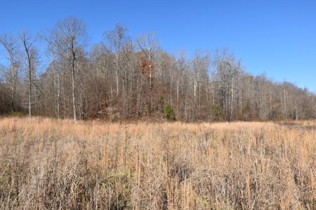 Tennessee Land For Sale! - image 4