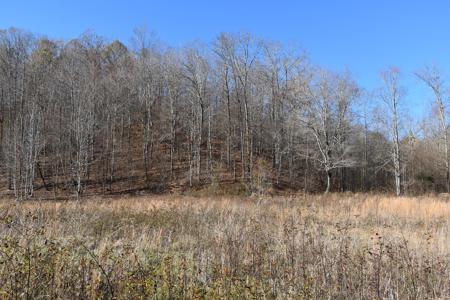 Tennessee Land For Sale! - image 5