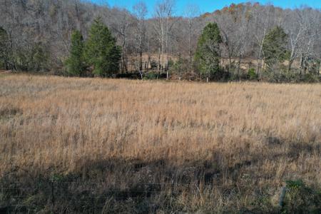 Tennessee Land For Sale! - image 11