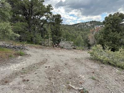 Nevada Virginia City Highlands Reno Treed Land Lot For Sale - image 11