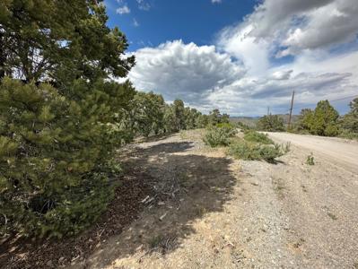 Nevada Virginia City Highlands Reno Treed Land Lot For Sale - image 8