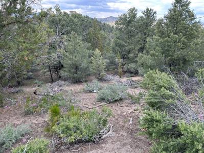 Nevada Virginia City Highlands Reno Treed Land Lot For Sale - image 14