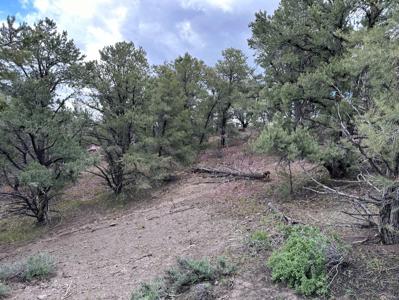 Nevada Virginia City Highlands Reno Treed Land Lot For Sale - image 22