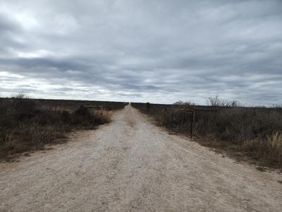 Texas Hunting and Recreational Property in Terrell County - image 4