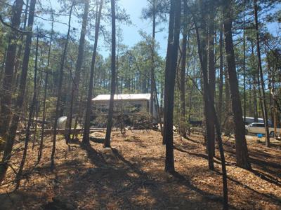 Cabin On 2.5 Acres In Kiamichi Wilderness For Sale - image 1