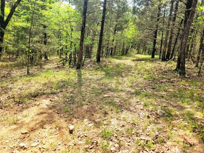 Land for sale branson missouri - image 9