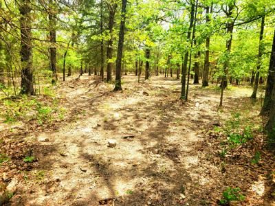 Land for sale branson missouri - image 10