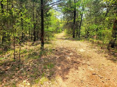 Land for sale branson missouri - image 22