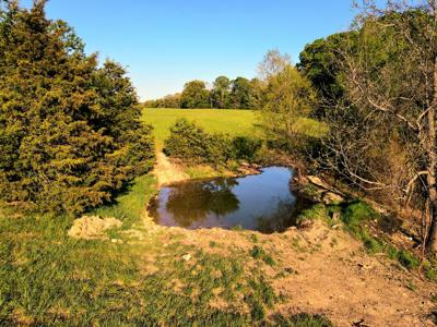 Land for sale branson missouri - image 32