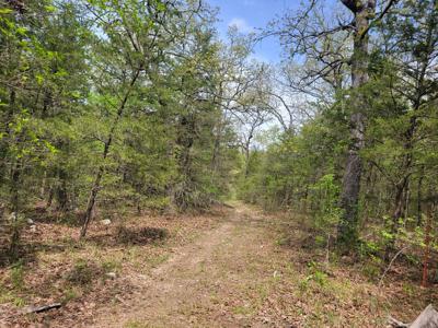 Land for sale branson missouri - image 7