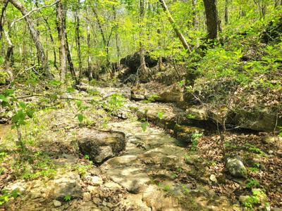 Land for sale branson missouri - image 15