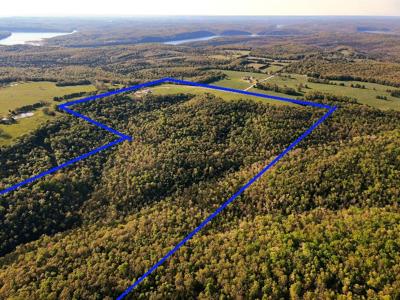 Land for sale branson missouri - image 1