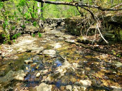 Land for sale branson missouri - image 17