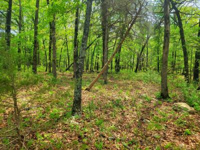 Land for sale branson missouri - image 23