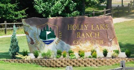 Golf Course Home Holly Lake Ranch Texas - Gated Community - image 42