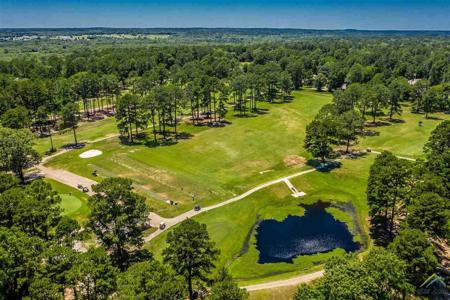 Golf Course Home Holly Lake Ranch Texas - Gated Community - image 47