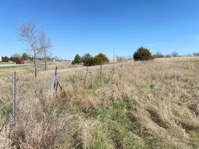 Tract 5 of 5, Hammack Family Land Auction - image 16