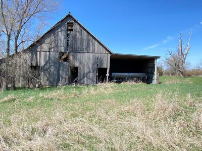 Tract 5 of 5, Hammack Family Land Auction - image 18