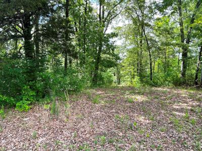 Metal Building on 10 ac on creek for sale Ash Flat, AR - image 18