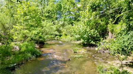 Metal Building on 10 ac on creek for sale Ash Flat, AR - image 28