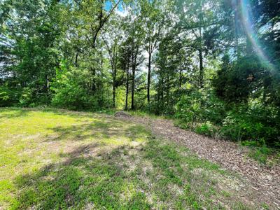 Metal Building on 10 ac on creek for sale Ash Flat, AR - image 19