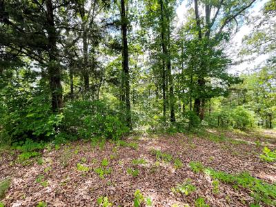 Metal Building on 10 ac on creek for sale Ash Flat, AR - image 20